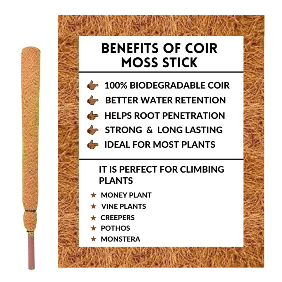 Coco Mulch Stick Set Of 2 Natural Coir Plant Support For Climbers & Saplings - Image 3