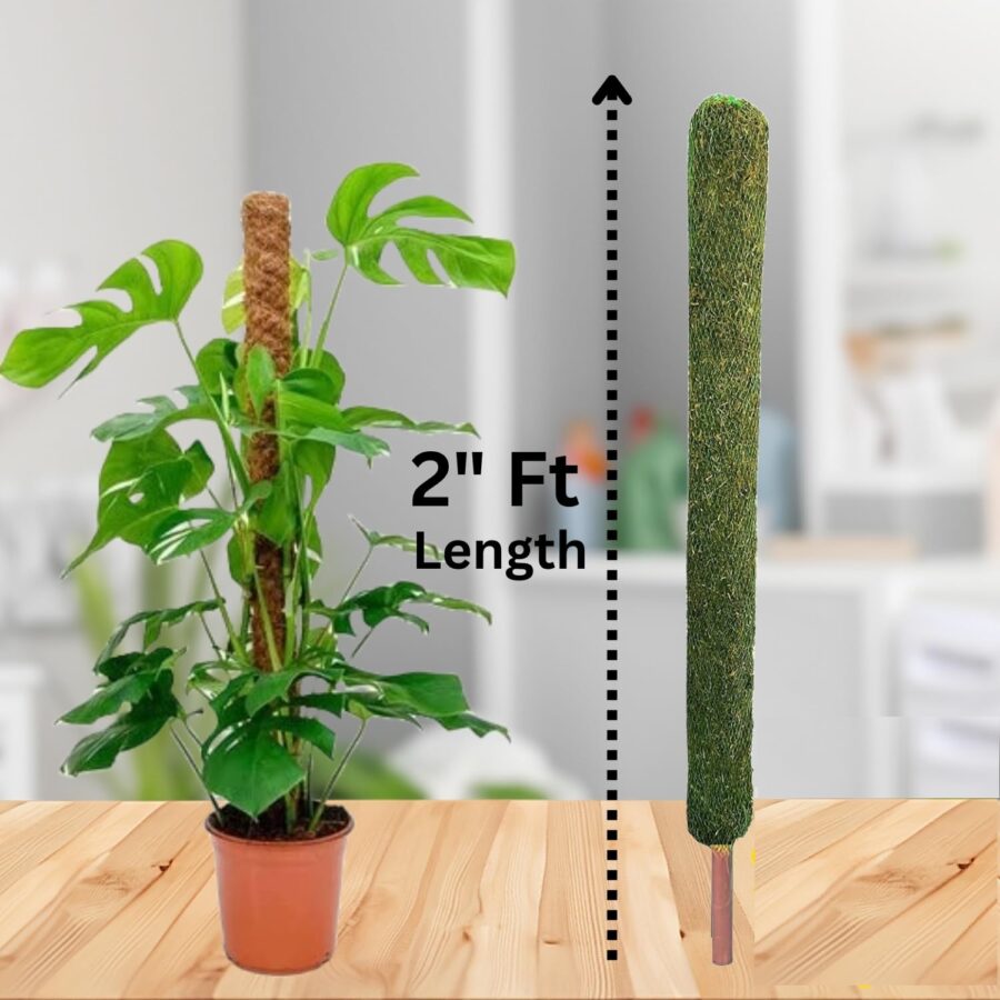 Coco Mulch Stick Set Of 2 Natural Coir Plant Support For Climbers & Saplings - Image 2
