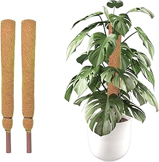2 Coco Mulch Sticks Natural, Biodegradable Support Poles For Garden Plants