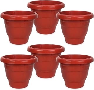 Delux 8 Inch Pots