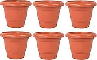 Weatherproof Delux Brown Plastic Pots 8 Inch Diameter 6-Piece Gardening Pack