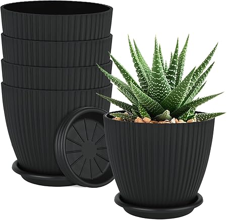 Modern Dhari Pot Set Eye-Catching Striped Design With Tray 5-Piece Indoor Gardening Kit
