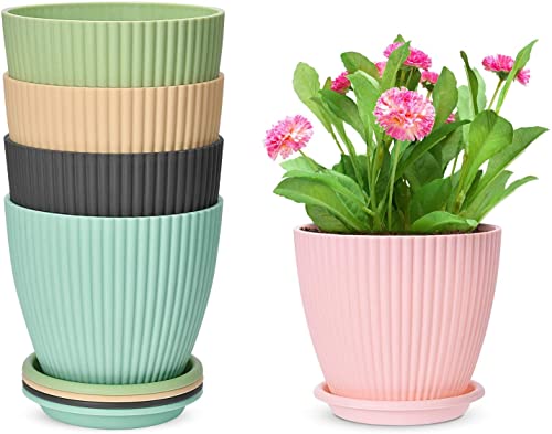Premium Dhari Pots With Tray Ideal For Office Desk Or Tabletop Gardens 5 Pieces