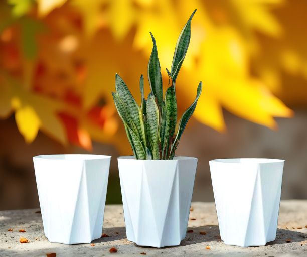 Star Pot
