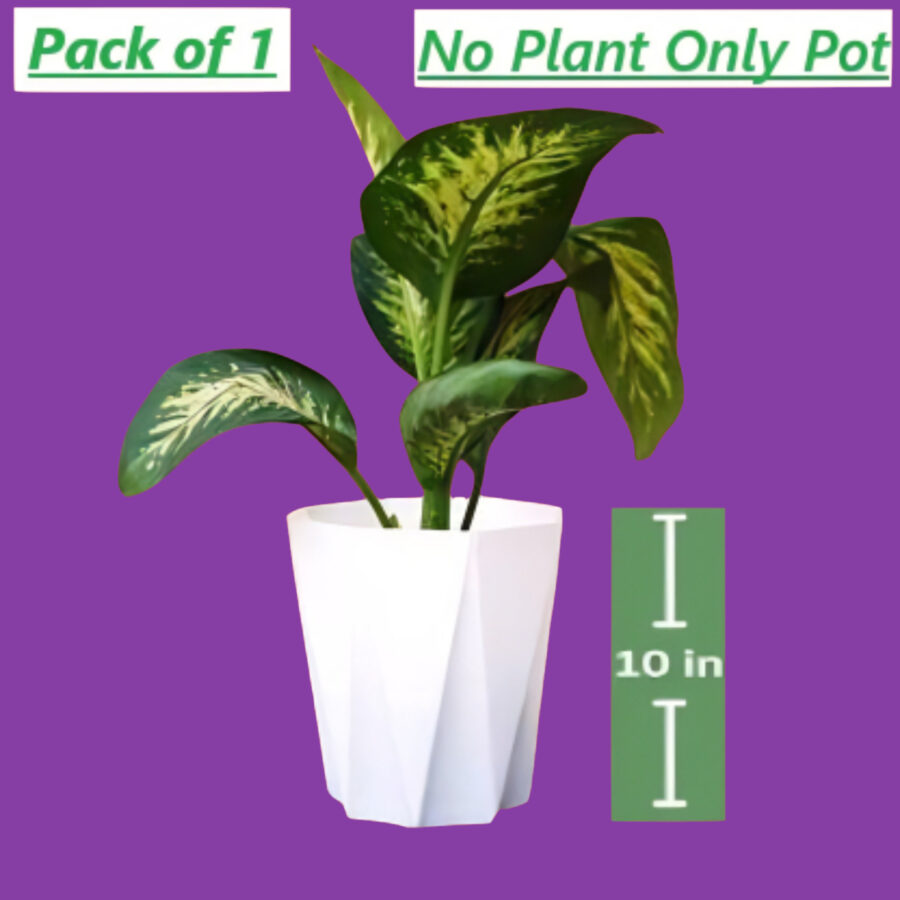 Decorative White Star Pot Lightweight And Durable For Indoor Plants 1 Piece