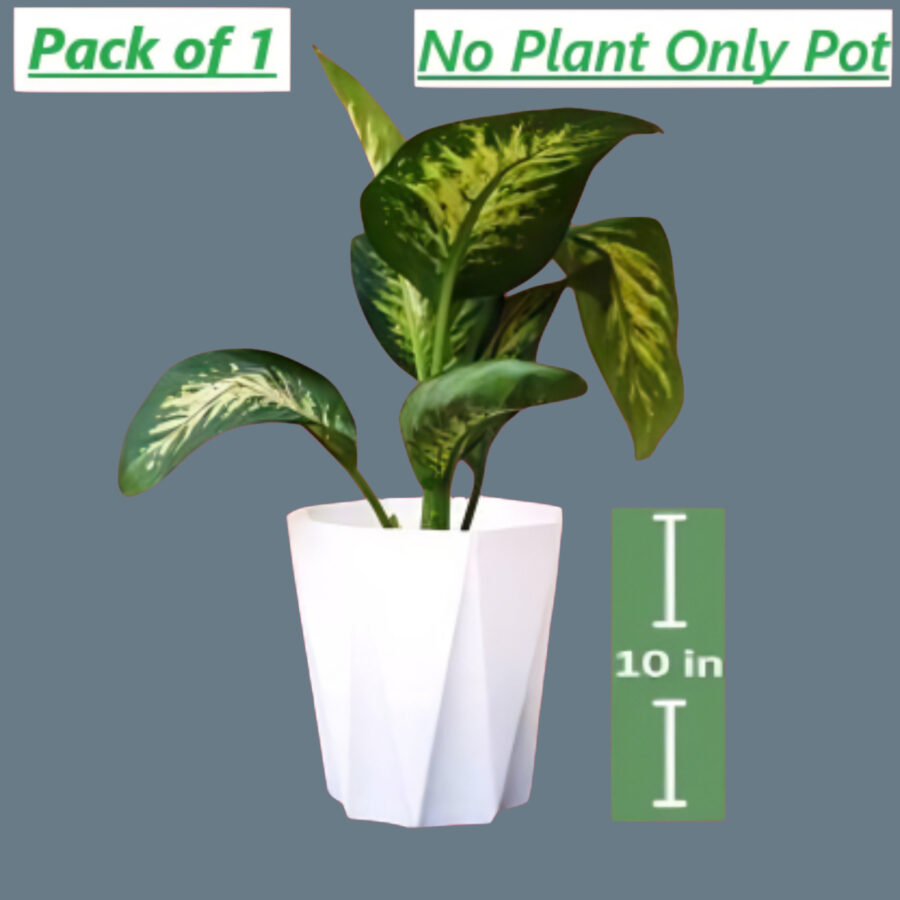 Elegant White Star Plant Pot Best For Minimalist Decor Themes 1 Piece