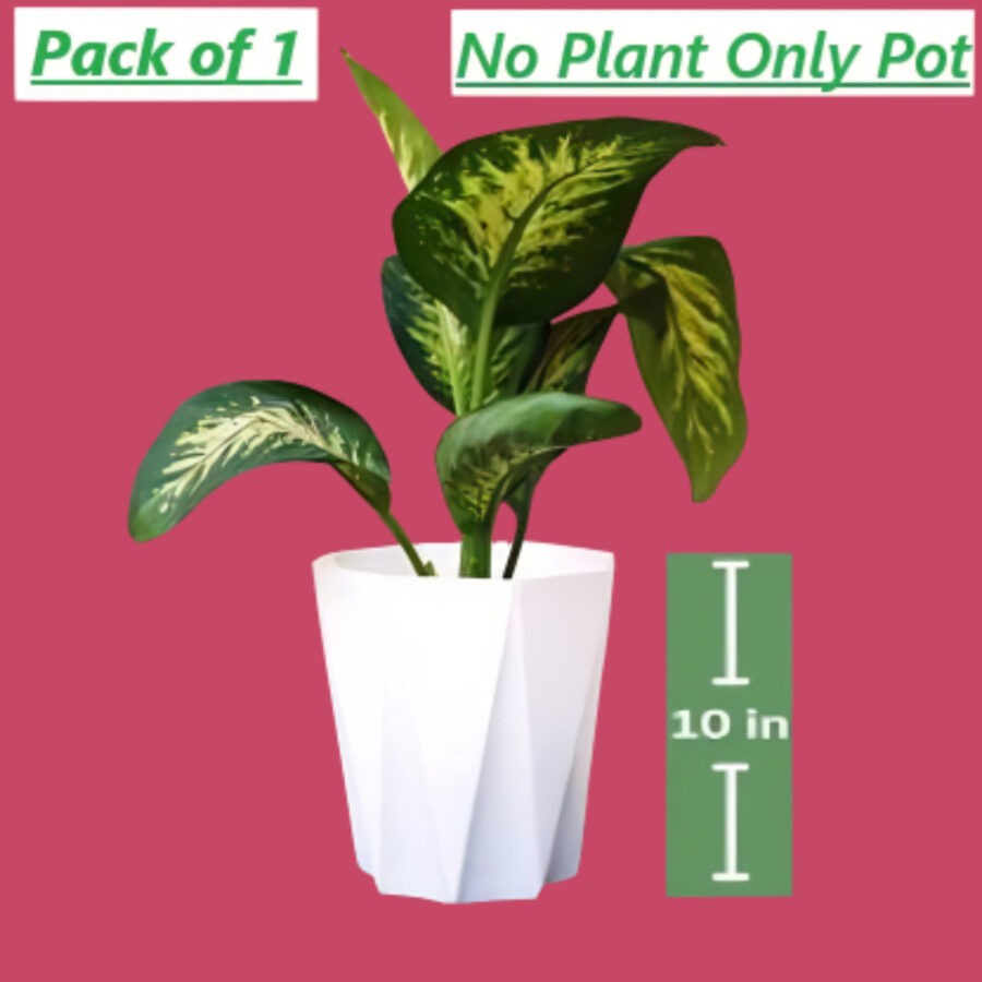 Stylish Indoor Star Pot Glossy White Finish With Modern Aesthetic Single Piece (1 Pot)
