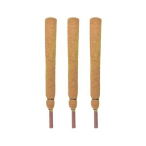 CosaCentrum Coco Pole Moss Stick Garden Mulch - 2 ft CoirSticks for Indoor Outdoor House Plant Creepers Climbers Vine Plants Pothos Money Plant Monstera Support (3)