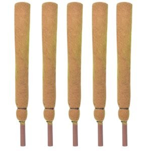 Coco Pole for Money Plants|| Coir and Moss Stick for Plant|| 4ft Set of 5 (120 CM)